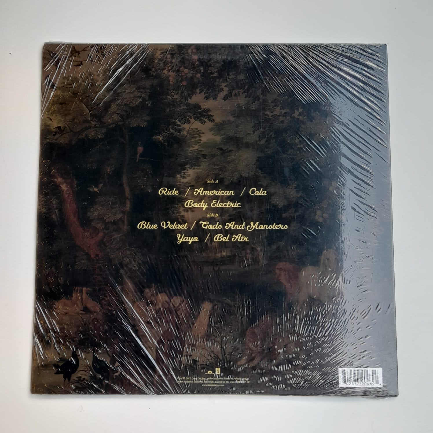 LP Lana Del Rey – Paradise - Lacrado Importado - Imagem 2