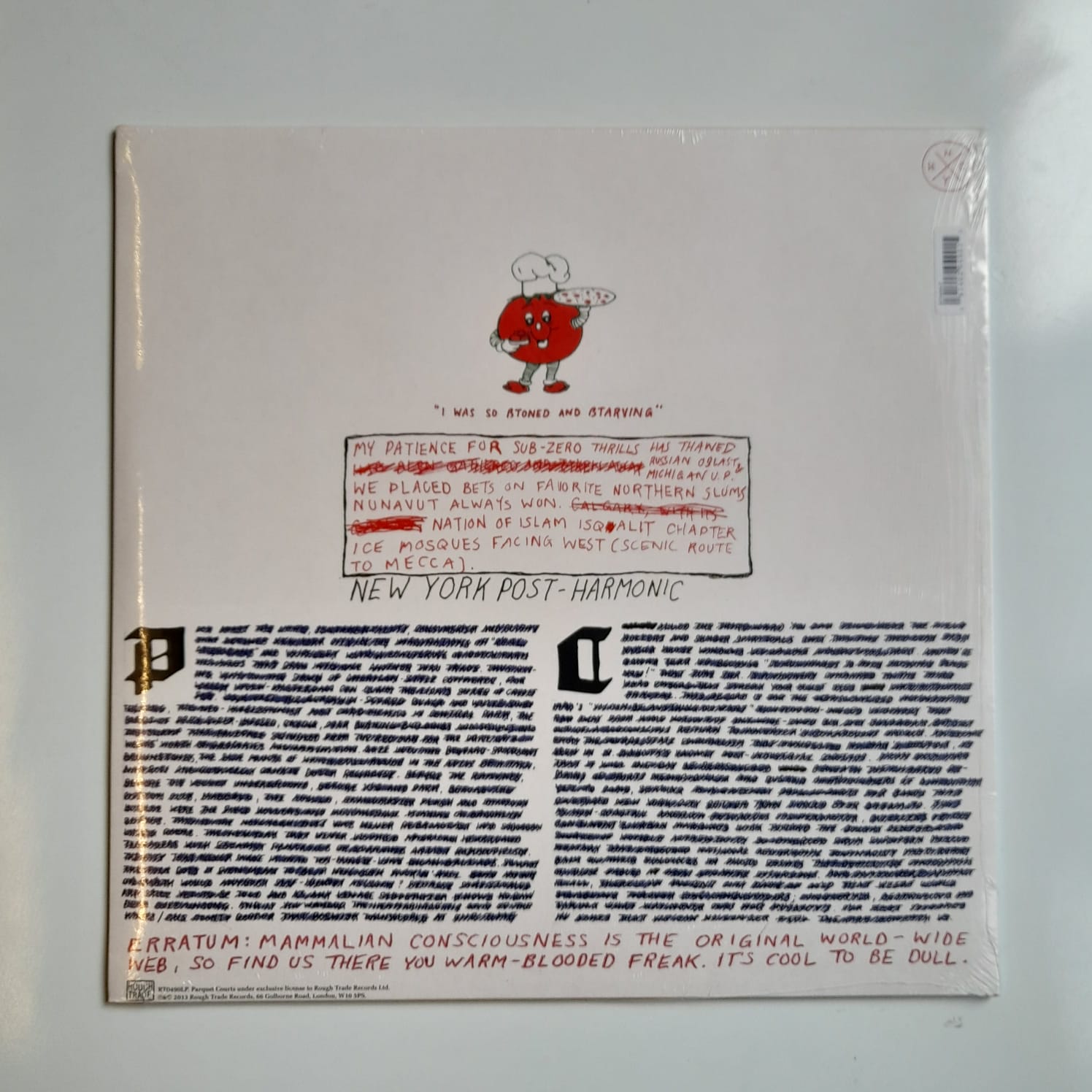 LP Parquet Courts - Light Up Gold - Lacrado - Imagem 2