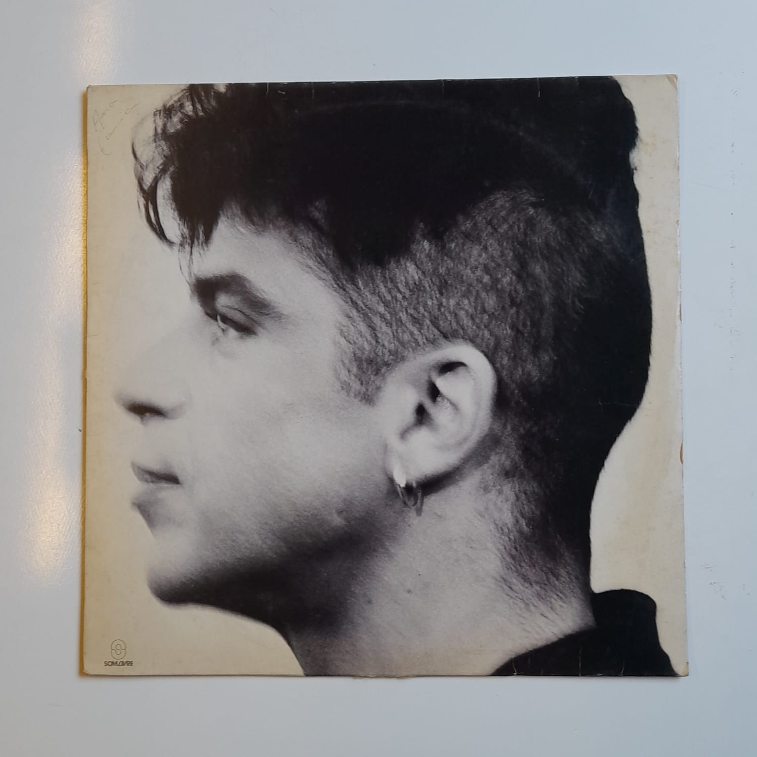 LP Lulu Santos – Minha Vida