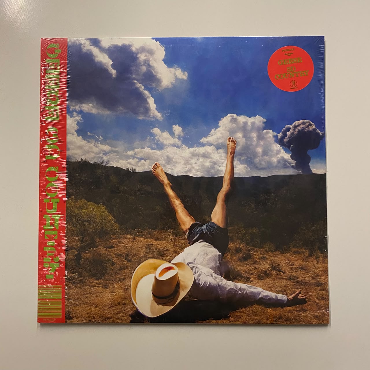 LP Geese – 3D Country - Lacrado