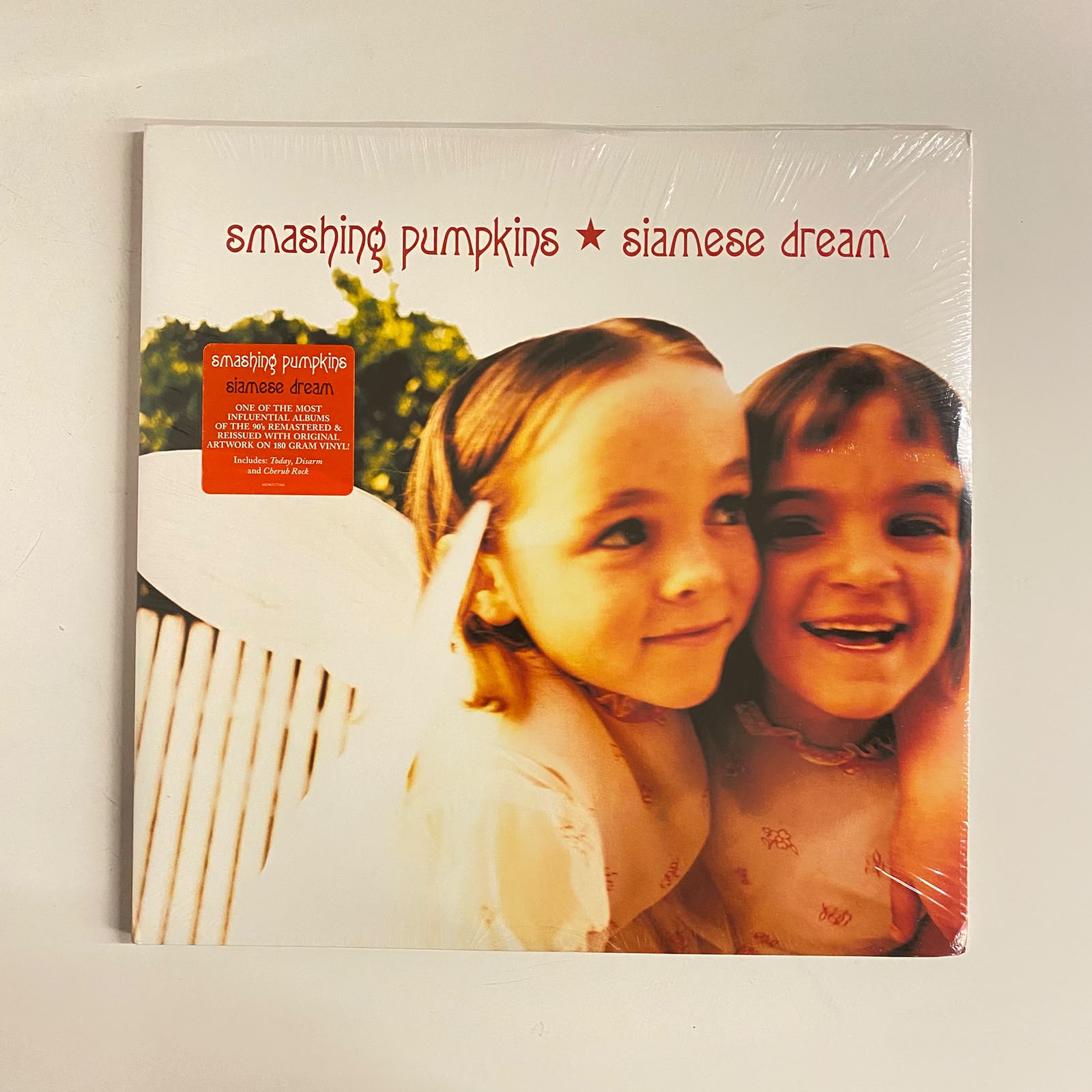 LP Smashing Pumpkins – Siamese Dream - Duplo Lacrado