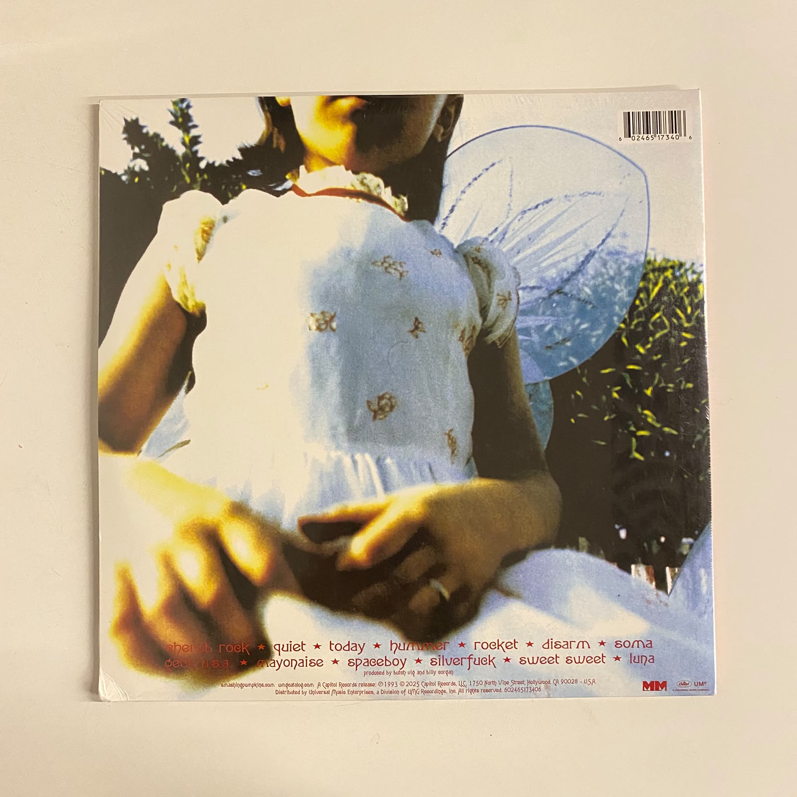 LP Smashing Pumpkins – Siamese Dream - Duplo Lacrado - Imagem 2