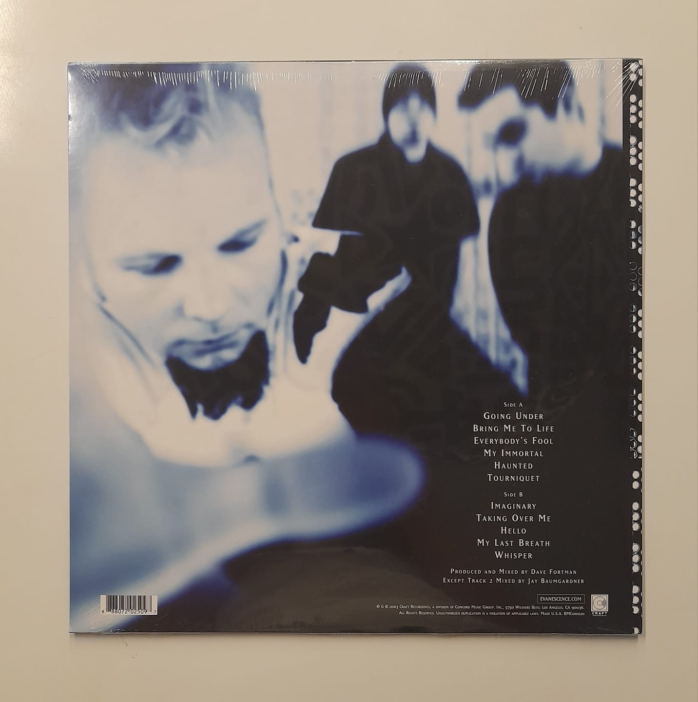 LP Evanescence – Fallen - Lacrado - Imagem 2