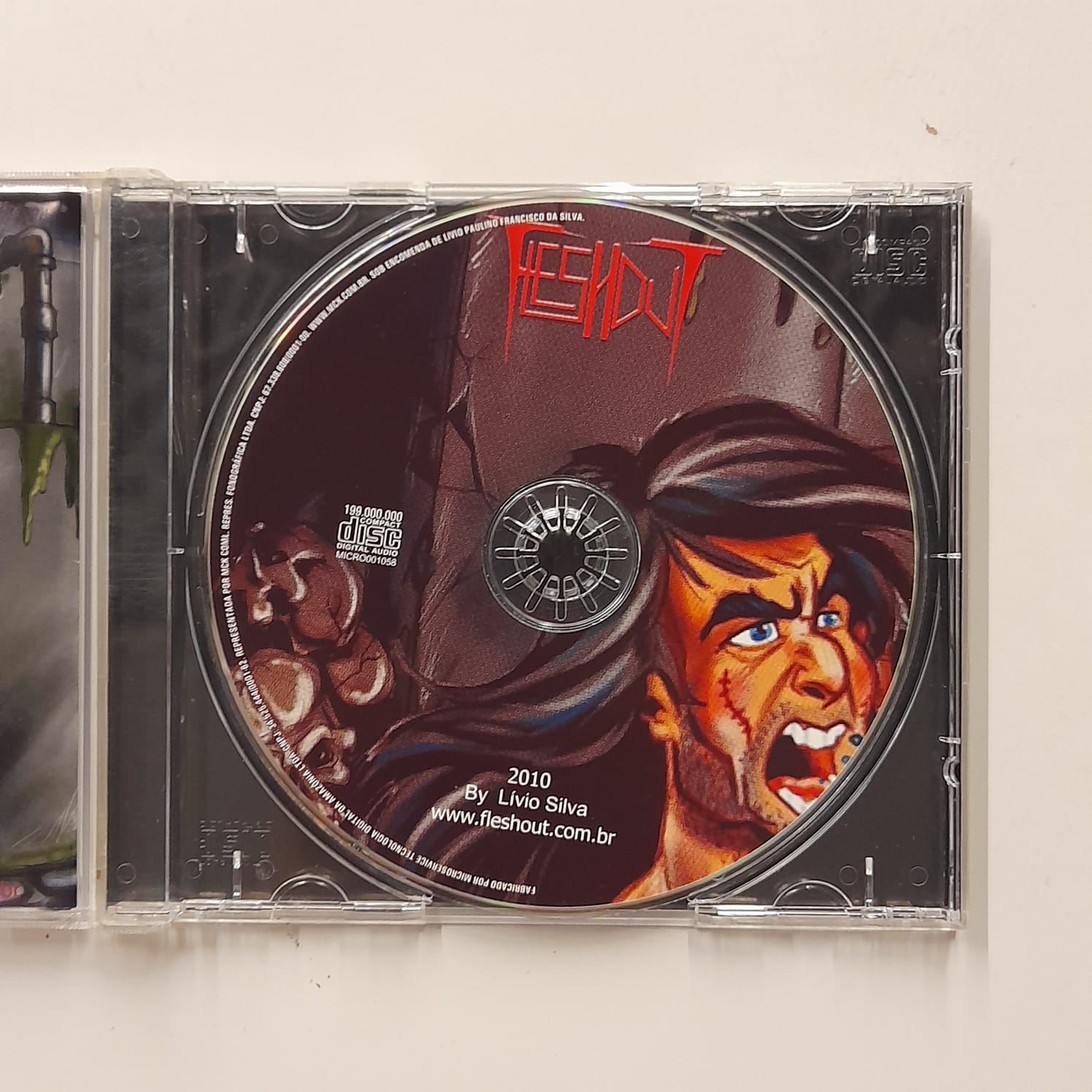 CD Fleshout – Fleshout (2011) - Imagem 3