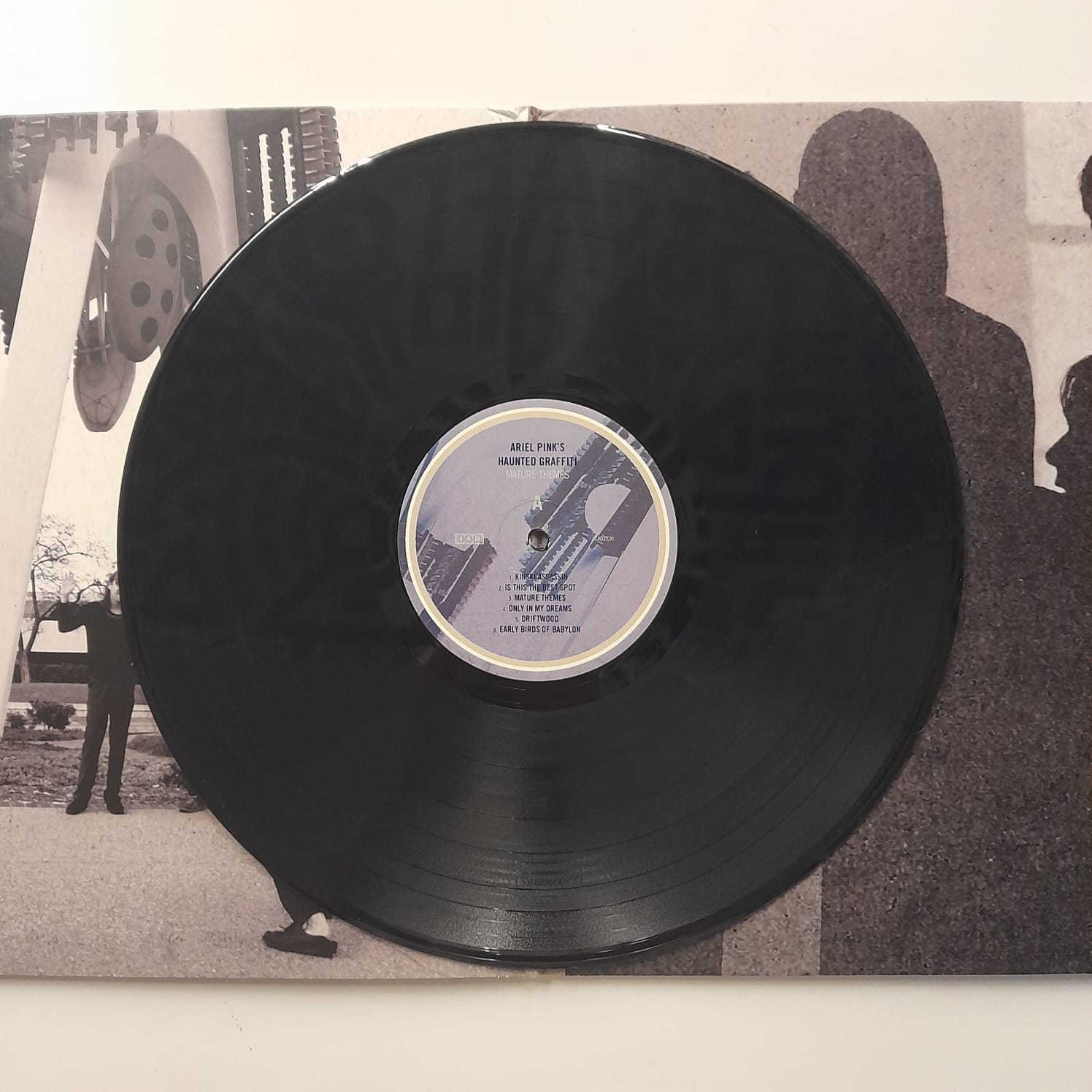 LP Ariel Pink's Haunted Graffiti – Mature Themes - Importado - Imagem 4