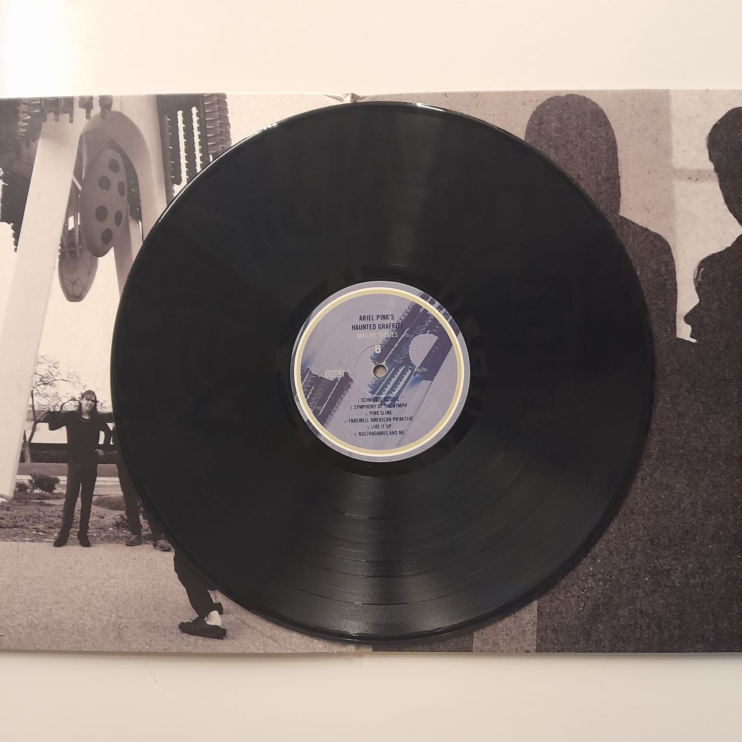 LP Ariel Pink's Haunted Graffiti – Mature Themes - Importado - Imagem 3