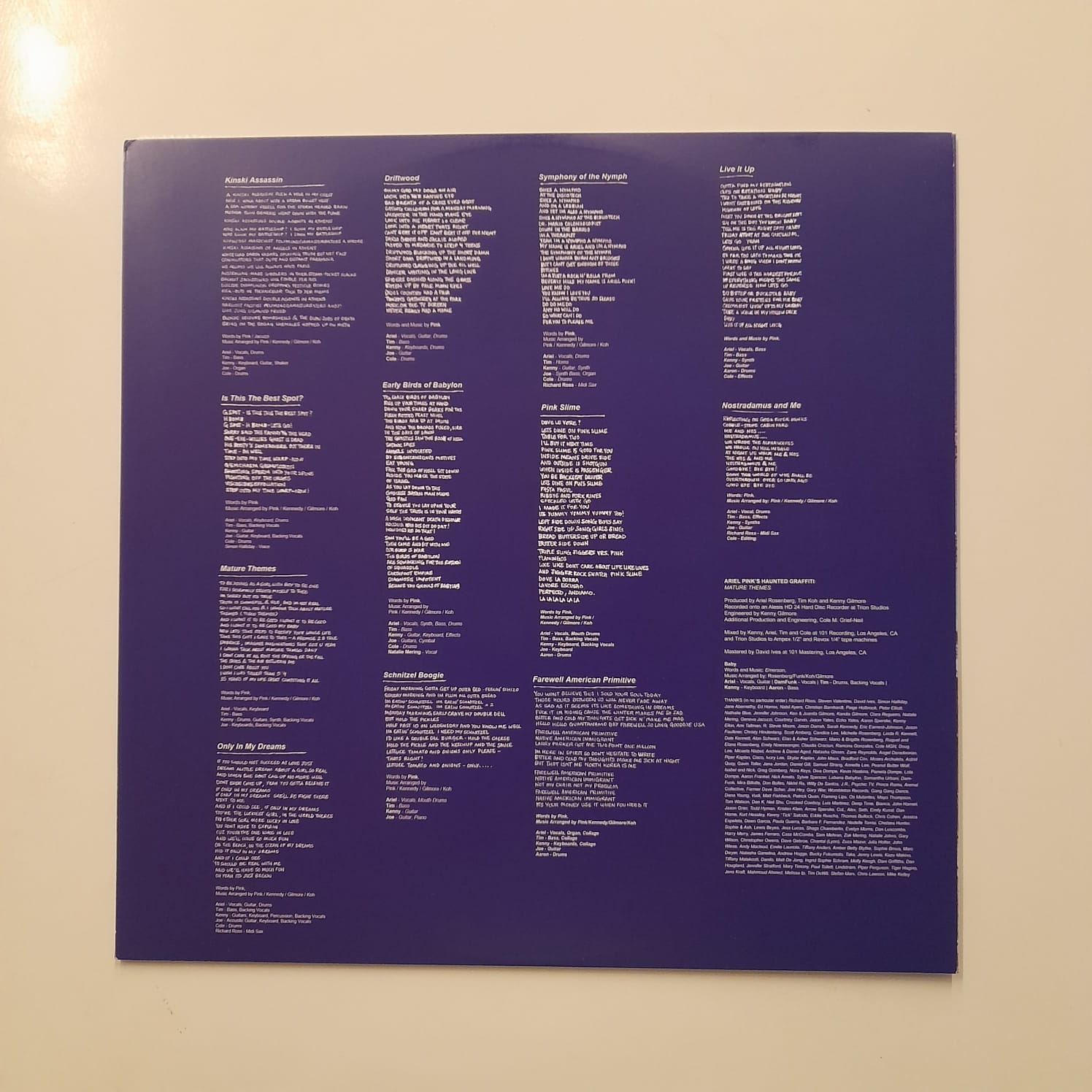 LP Ariel Pink's Haunted Graffiti – Mature Themes - Importado - Imagem 5