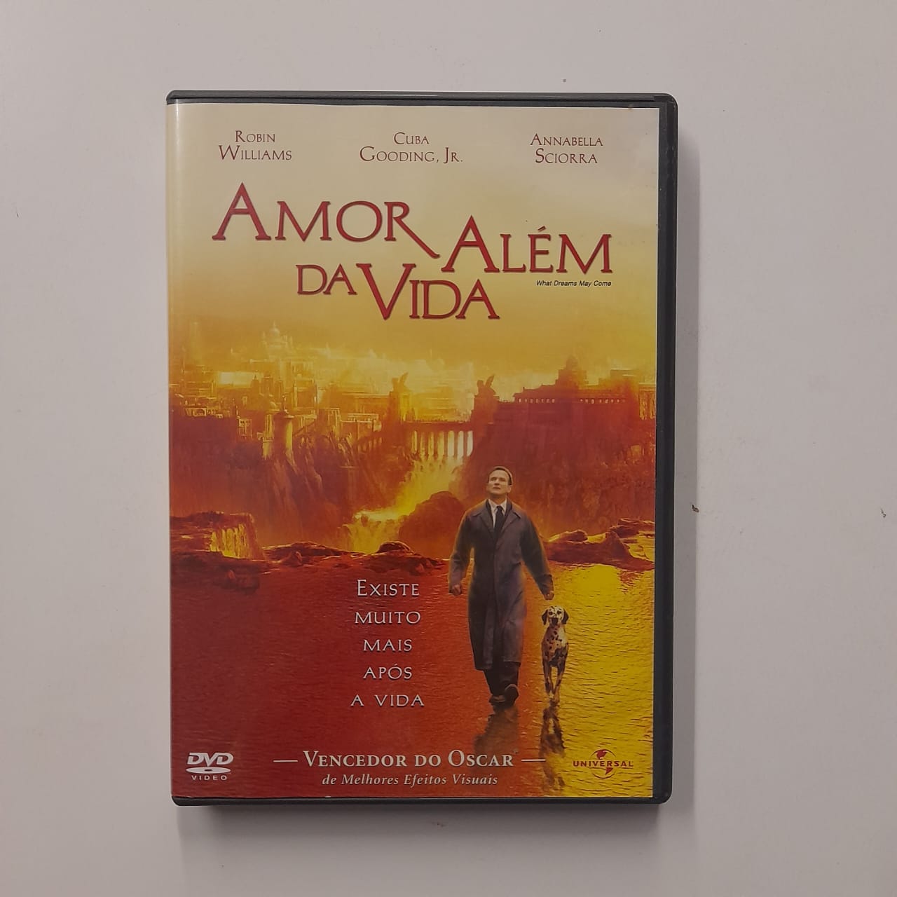 DVD Amor Além da Vida